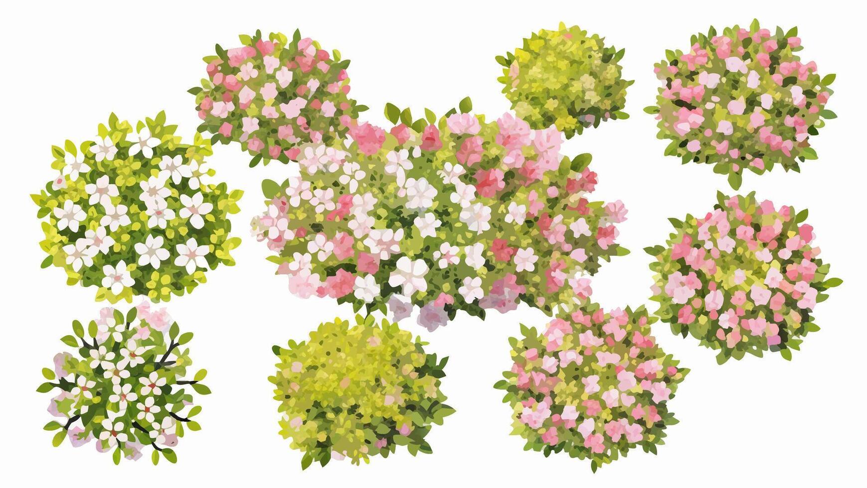 Overhead View of Assorted Pink and White Flower Bushes vector