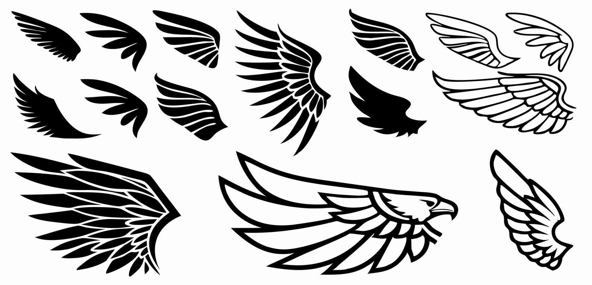 Collection of Black and White Wing Designs Tattoo, Logo and Graphic vector