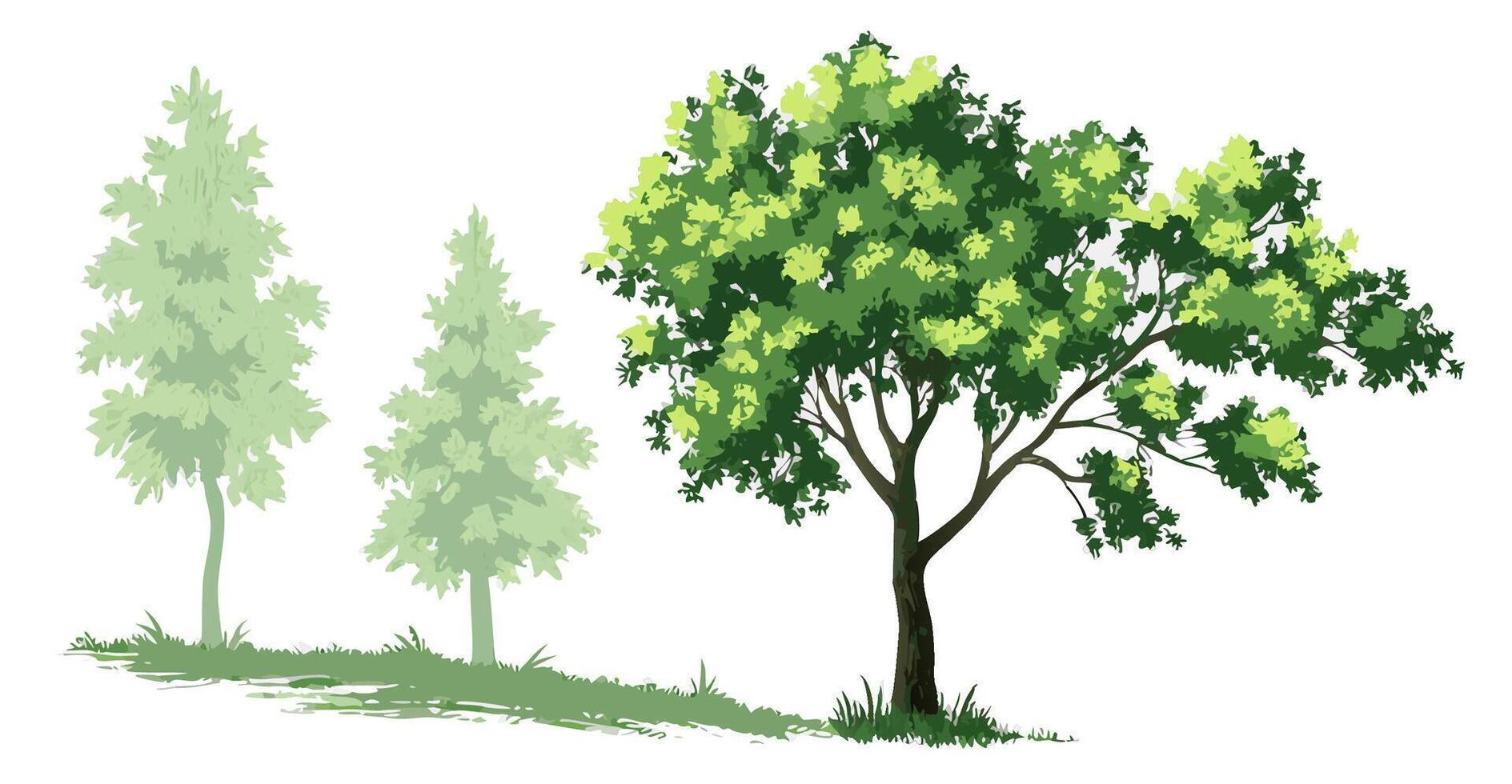 Illustration of Lush Green Trees Deciduous and Evergreen vector