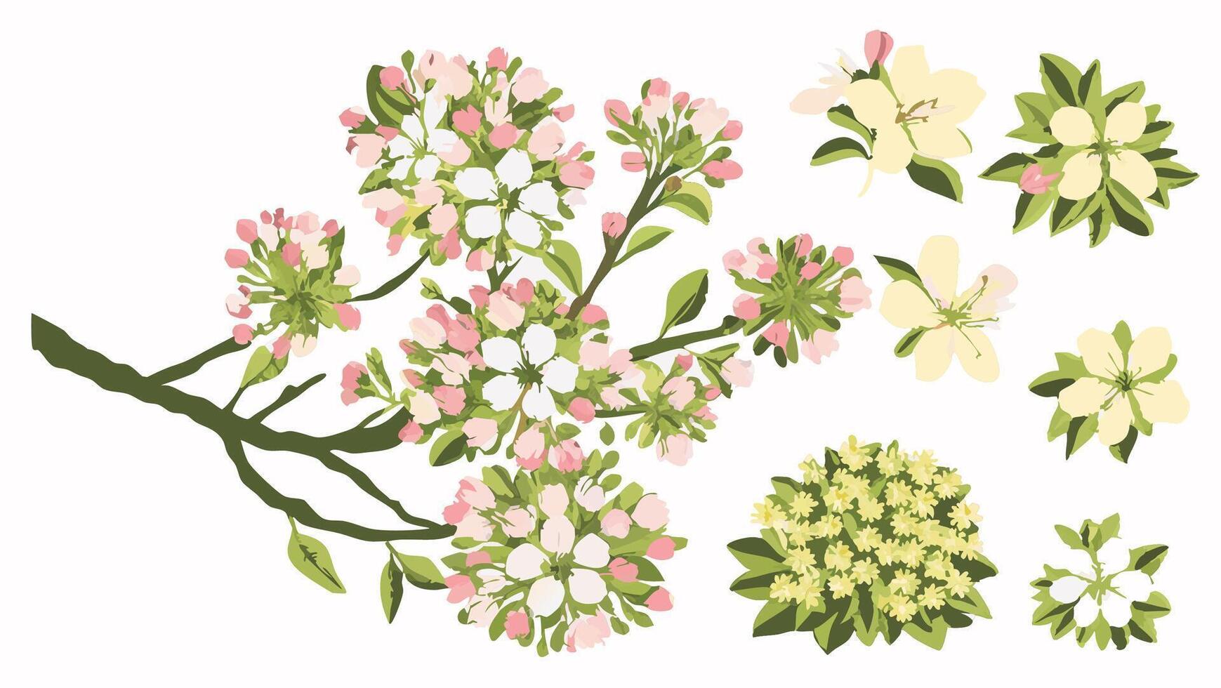 Pink and White Blossoms Spring Branch Floral Design vector