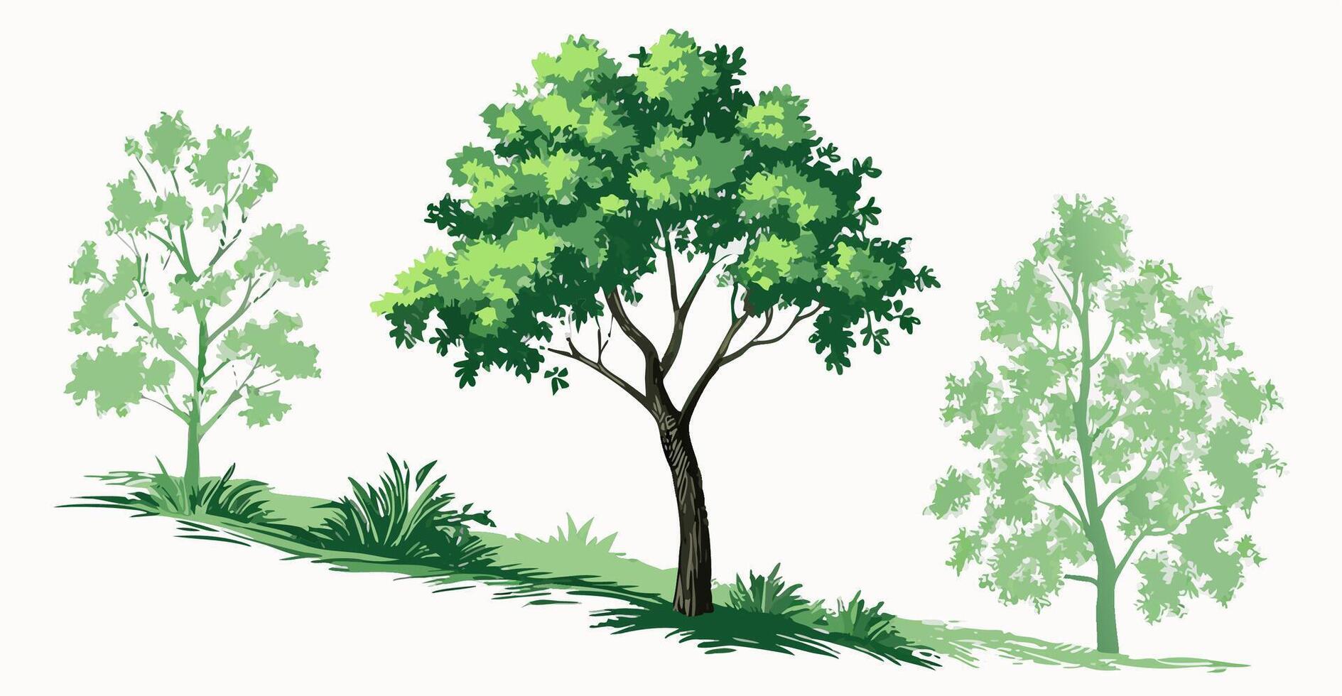 Three Green Trees on a Hillside Illustration vector