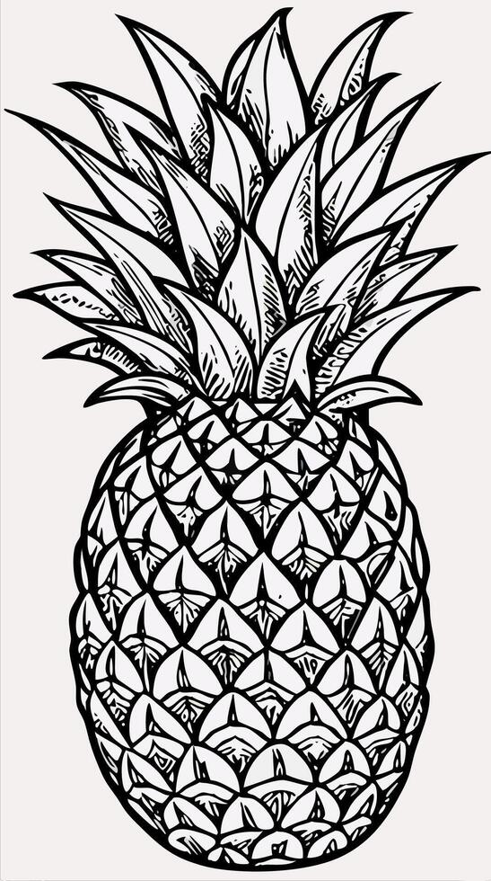 Black and White Detailed Pineapple Illustration vector