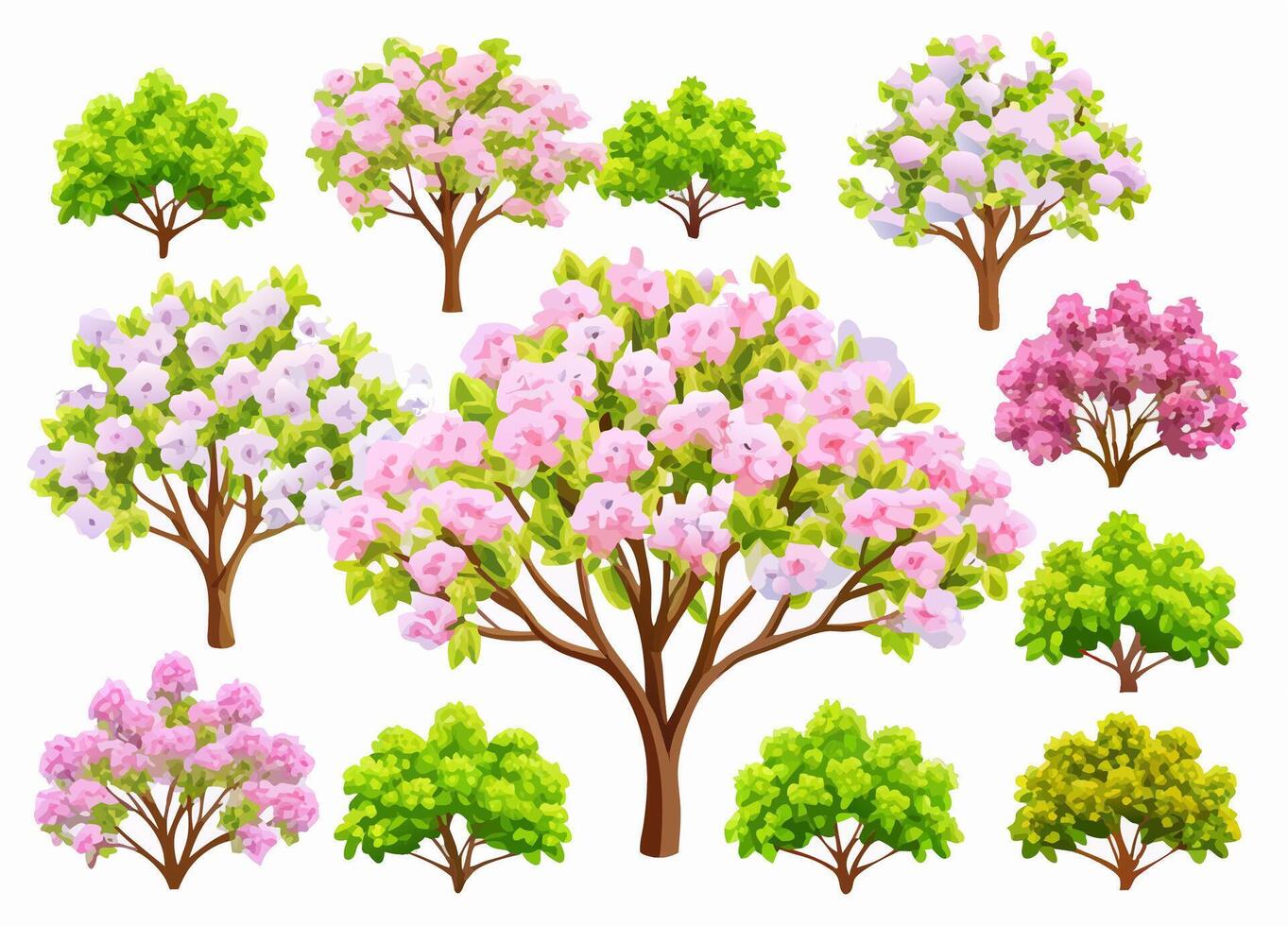 Collection of Spring Flowering Trees and Shrubs vector