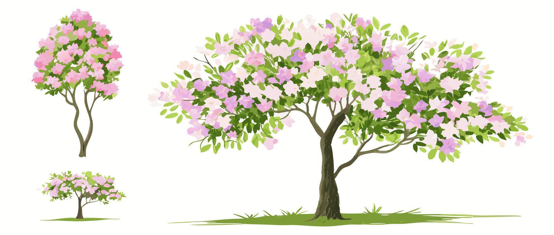Pink Flowering Tree, Blossoms, Spring, Nature Illustration vector