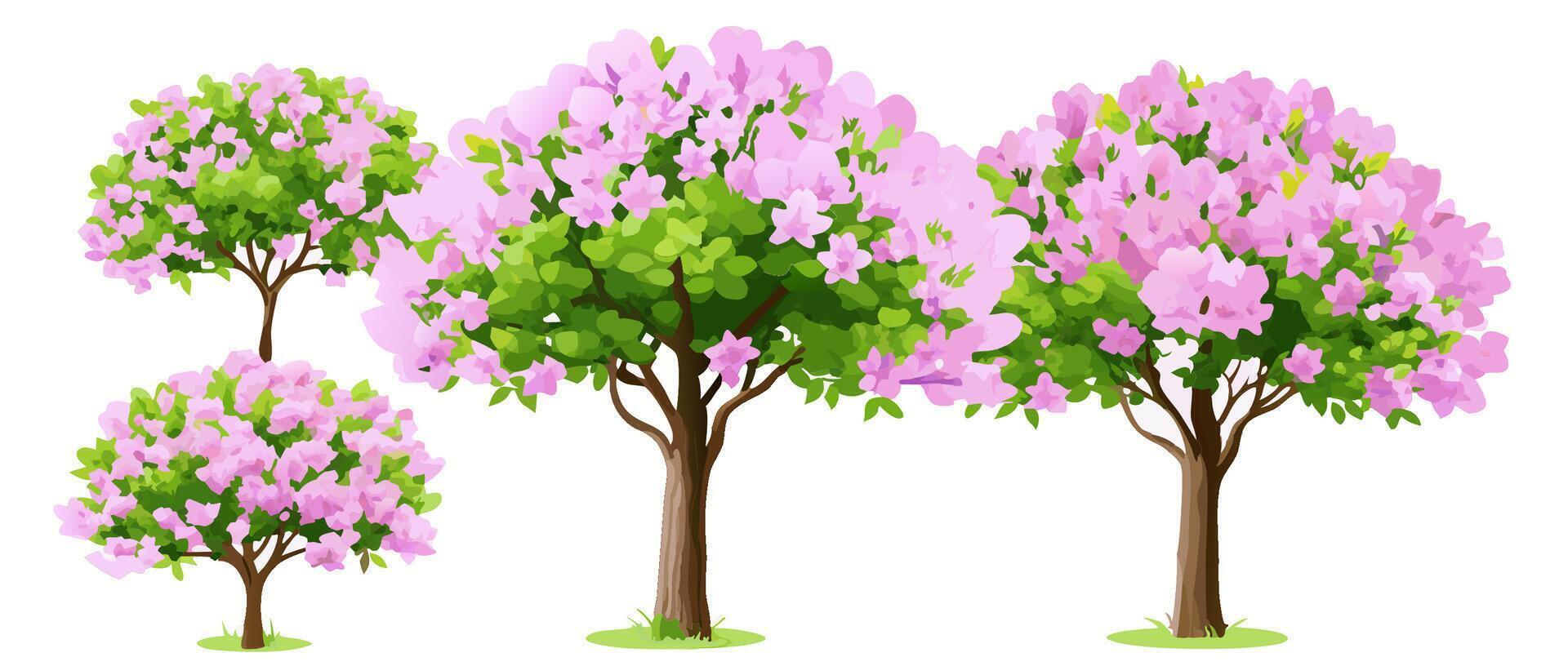 Pink Flowering Trees, Spring Blossoms, Garden Plants vector