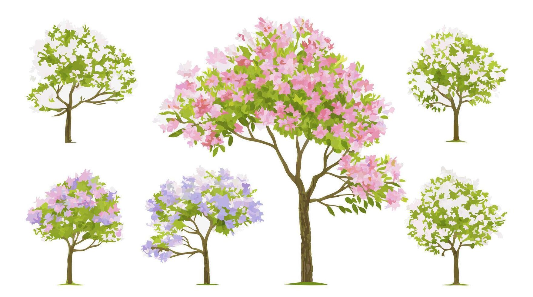 Collection of Spring Blooming Trees Pink, White, Lilac vector