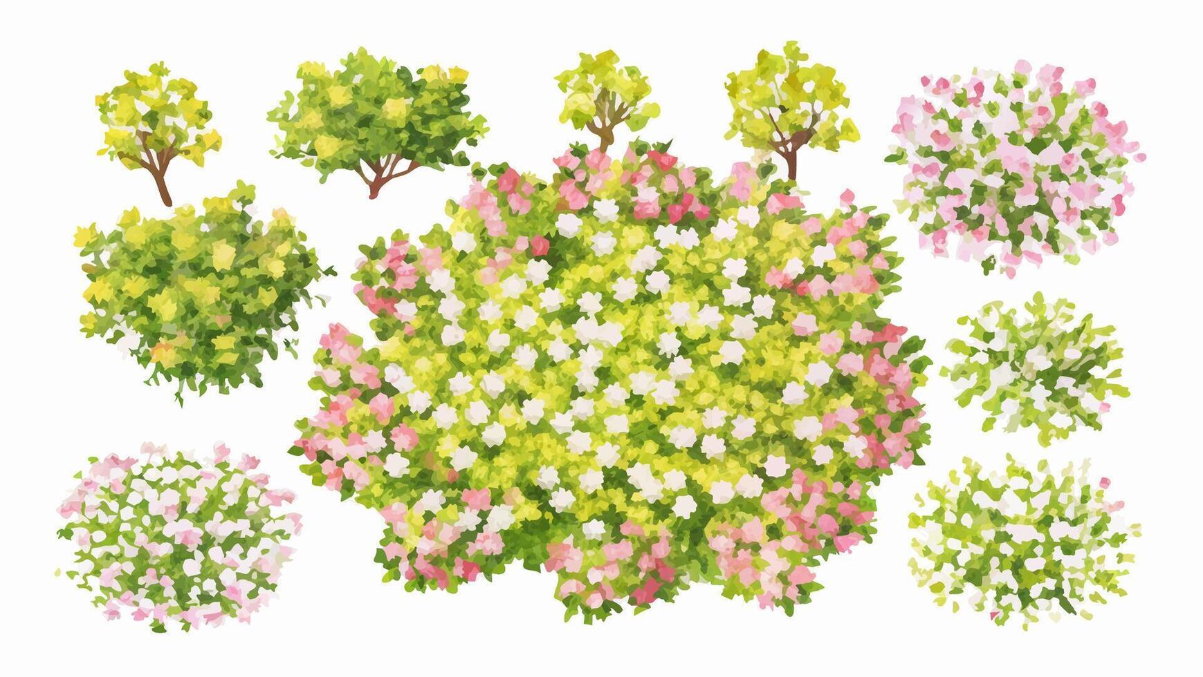 Top View Collection of Blooming Shrubs and Trees vector