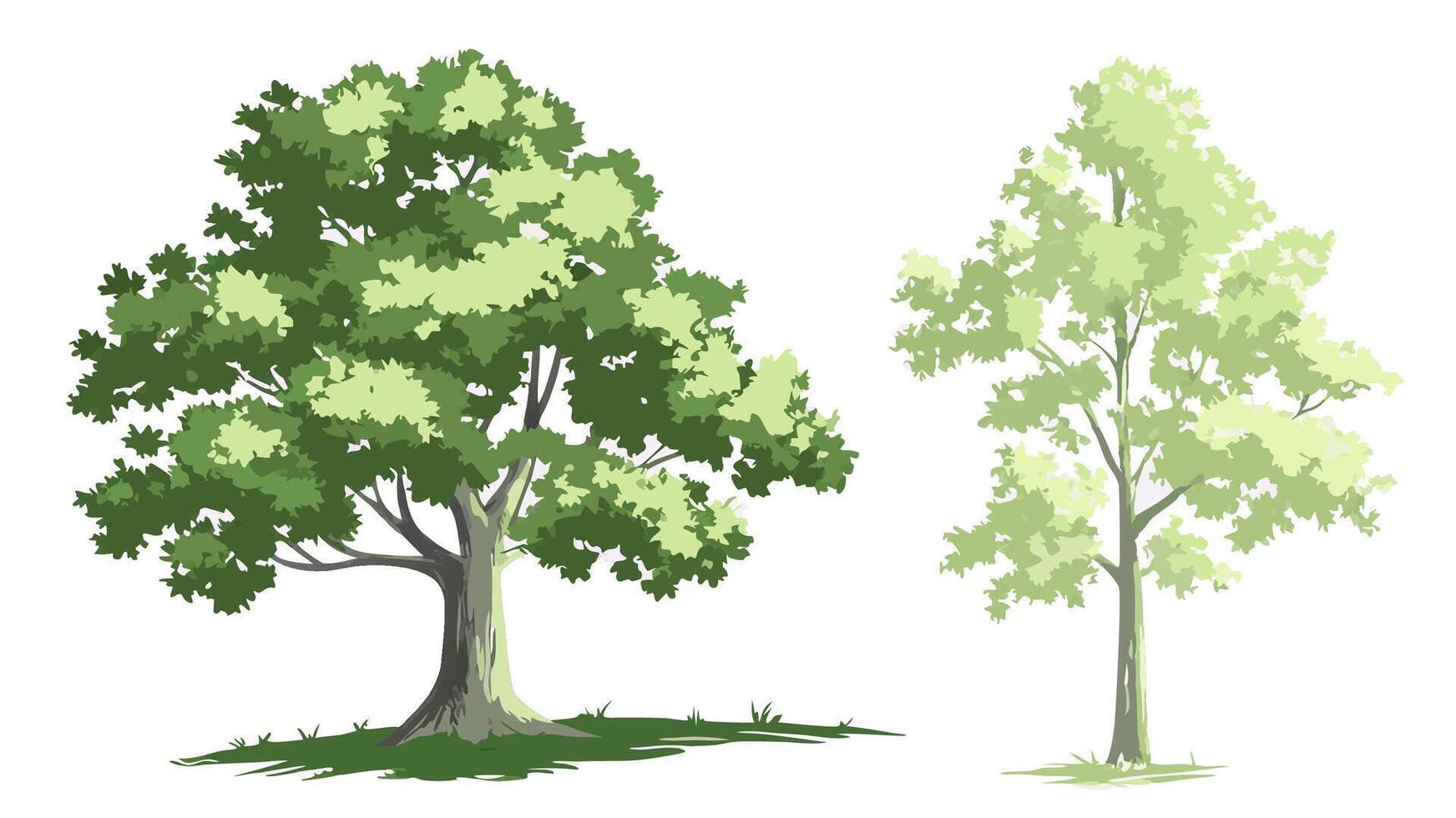Green Trees Illustration, Large and Small, Nature Clipart vector