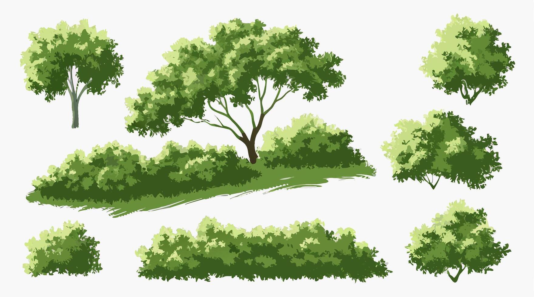 Hand painted Green Trees and Bushes Collection, Landscape Design Elements vector
