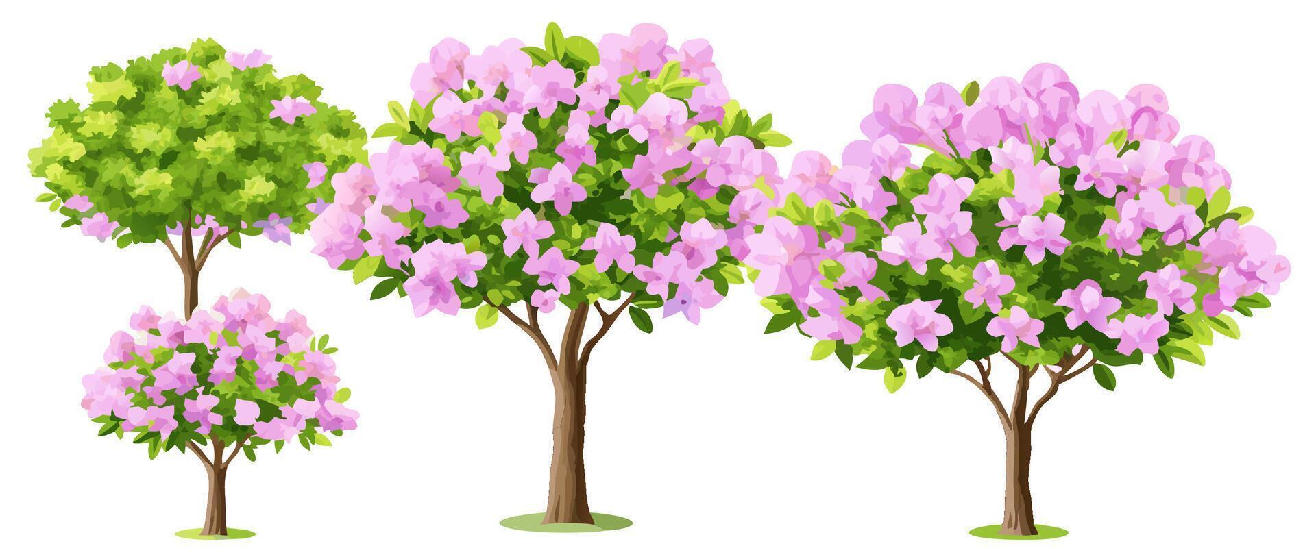 Four Blooming Pink Azalea Trees, Spring Landscape Illustration vector