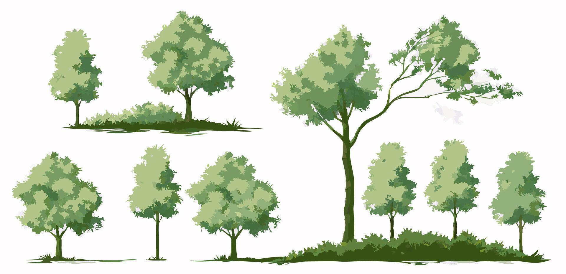 Collection of Green Trees, Various Sizes and Styles, Isolated on White Background vector