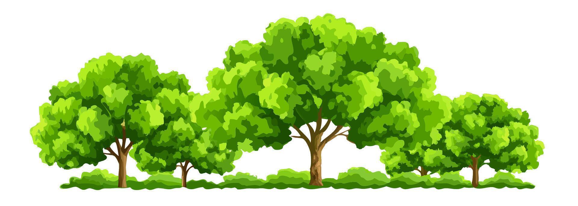Green Lush Trees, Nature Landscape Illustration vector