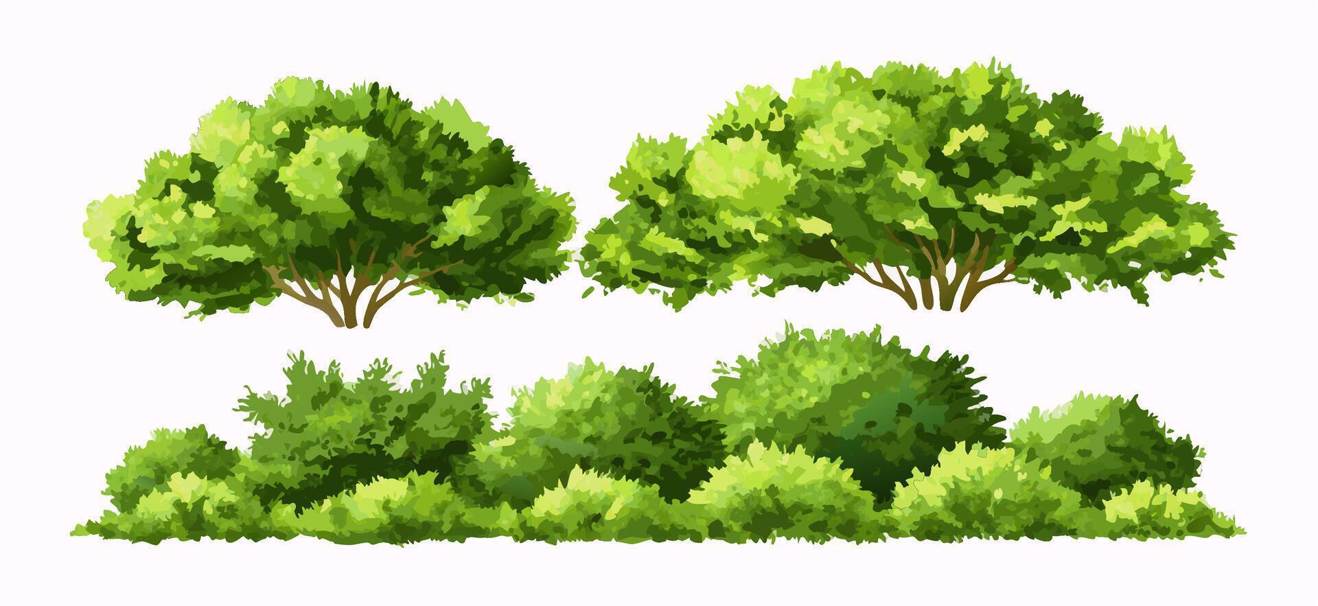 Green Lush Trees and Bushes Collection, Landscape Design Elements vector