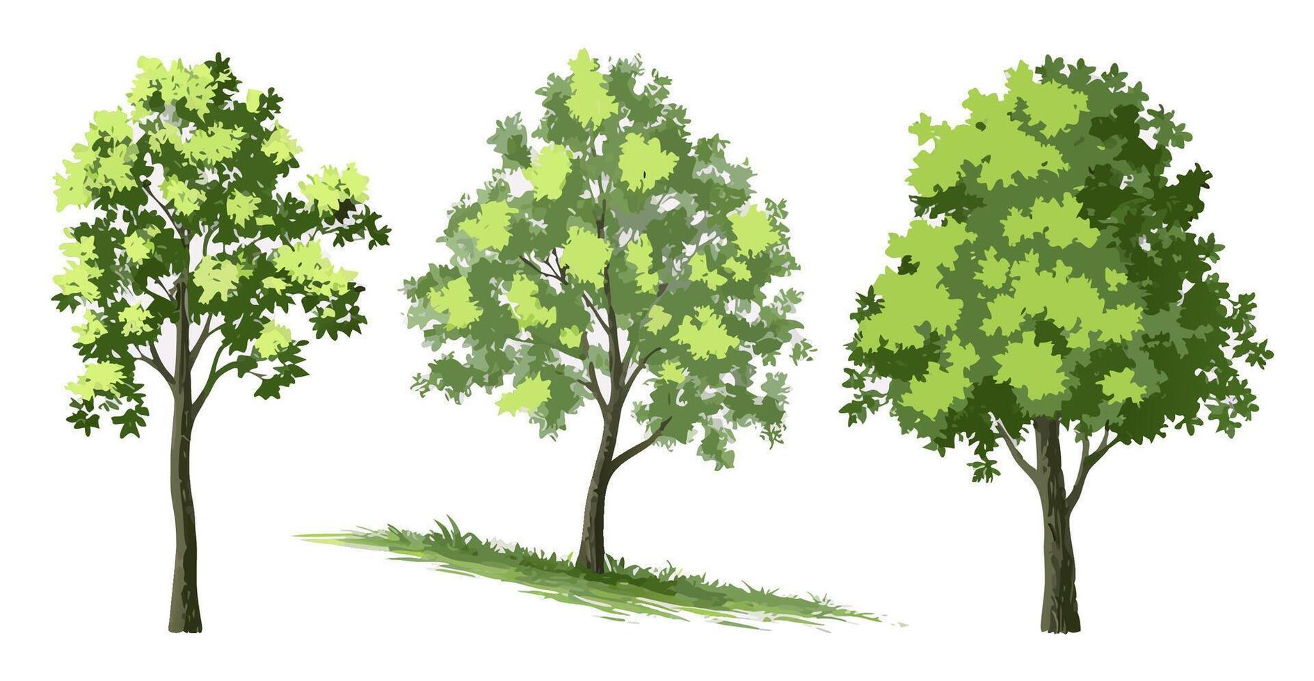 Three Green Trees, Landscape Design Elements, Illustration vector