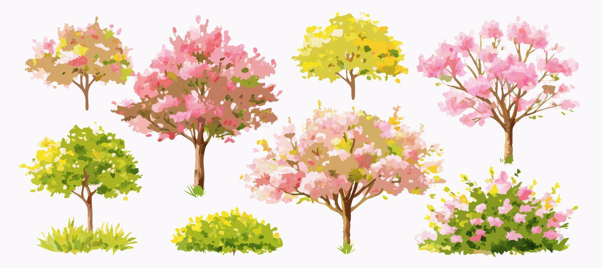 Collection of Watercolor Spring Trees and Bushes vector