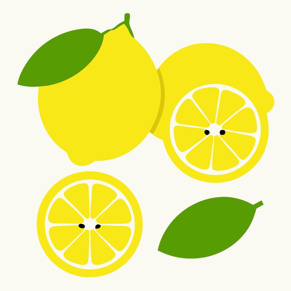 Lemons, whole and sliced, with leaves. Flat lay. vector