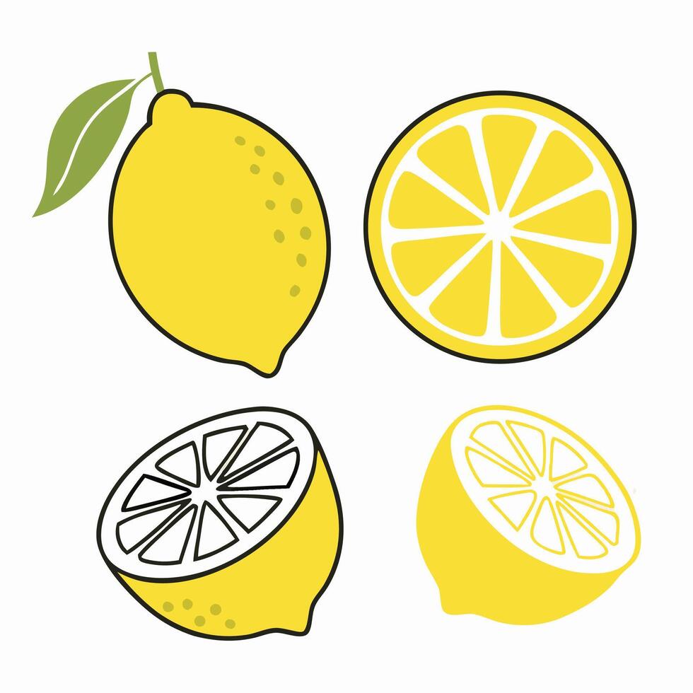 Lemon Illustrations Whole, Halved and Sliced Lemons vector