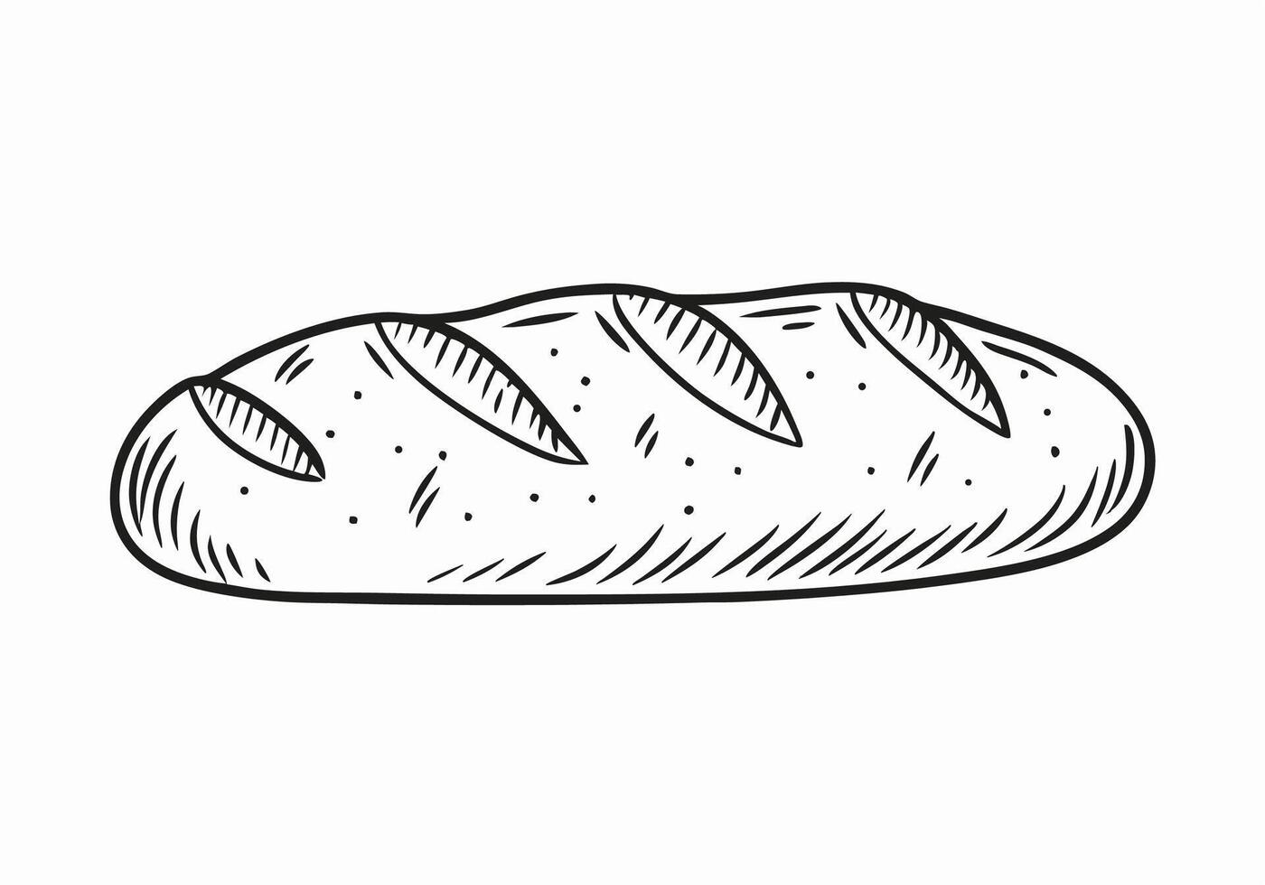 Hand drawn Sketch of Crusty Bread Loaf, Bakery Illustration vector