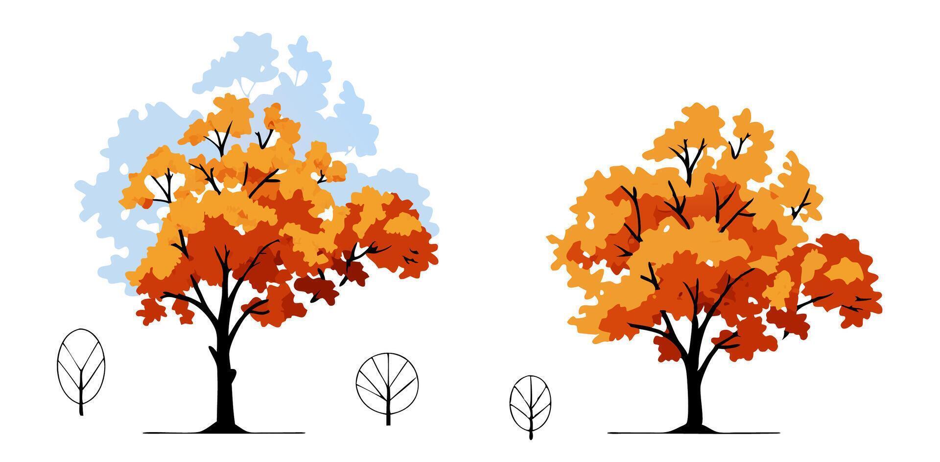 Two Autumn Trees Illustration, Fall Foliage, Orange and Yellow Leaves, Graphic vector