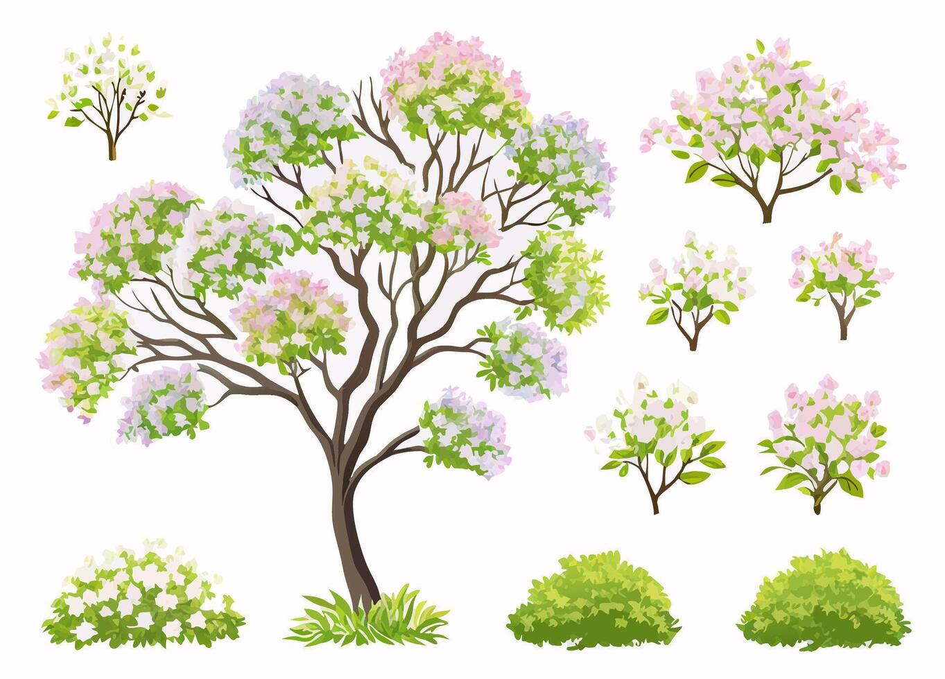 Spring Flowering Trees and Shrubs Collection Botanical Illustration vector