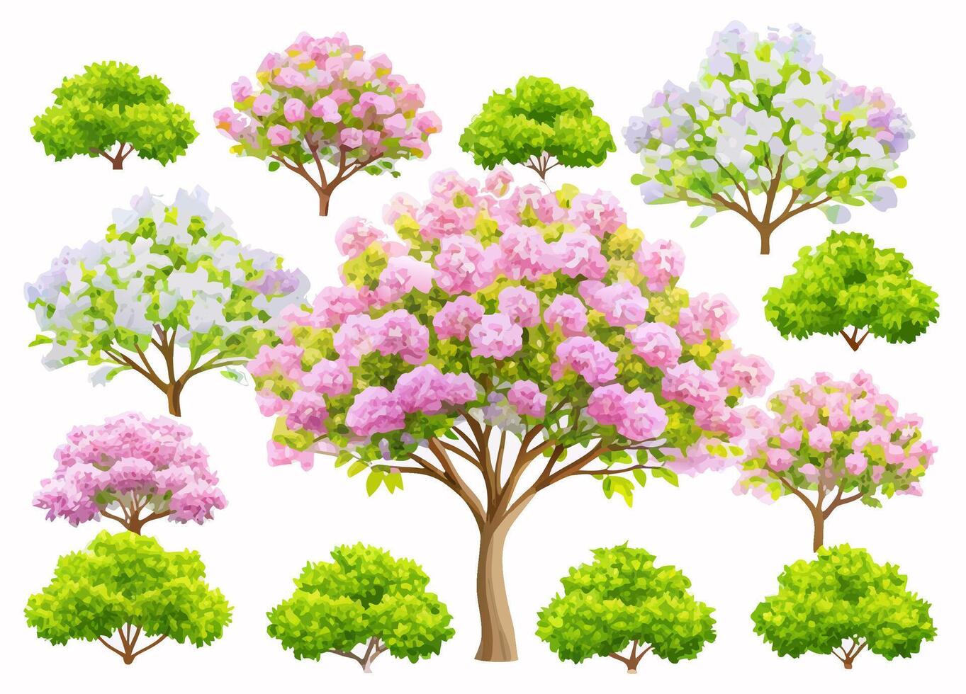 Spring Blooming Trees and Shrubs vector