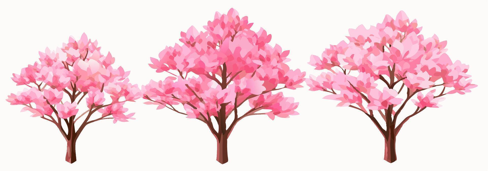 Pink Magnolia Trees, Blooming Spring Trees, Three Sizes vector