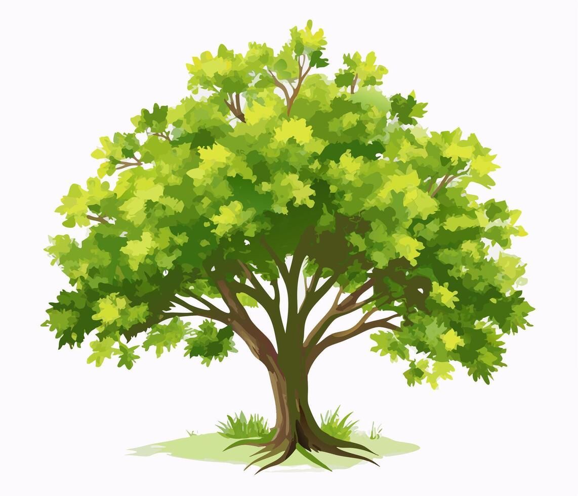 Lush Green Tree Illustration, Isolated on White vector