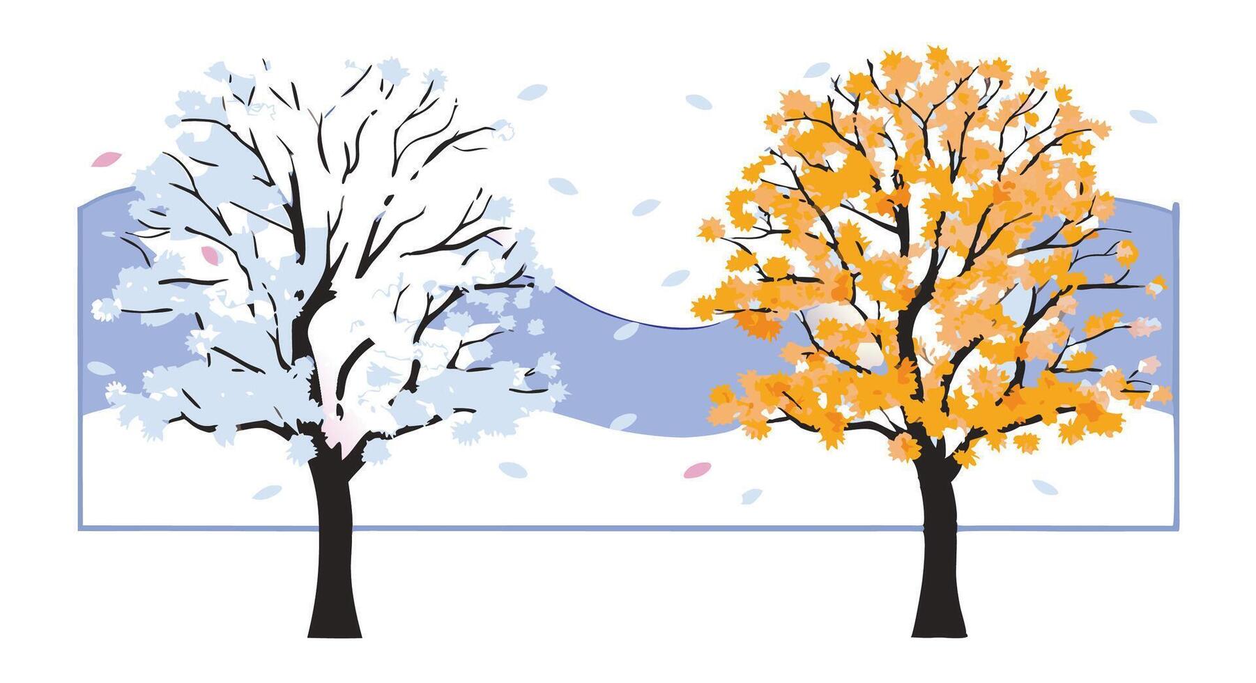 Winter and Autumn Trees Illustration Seasonal Change Graphic vector