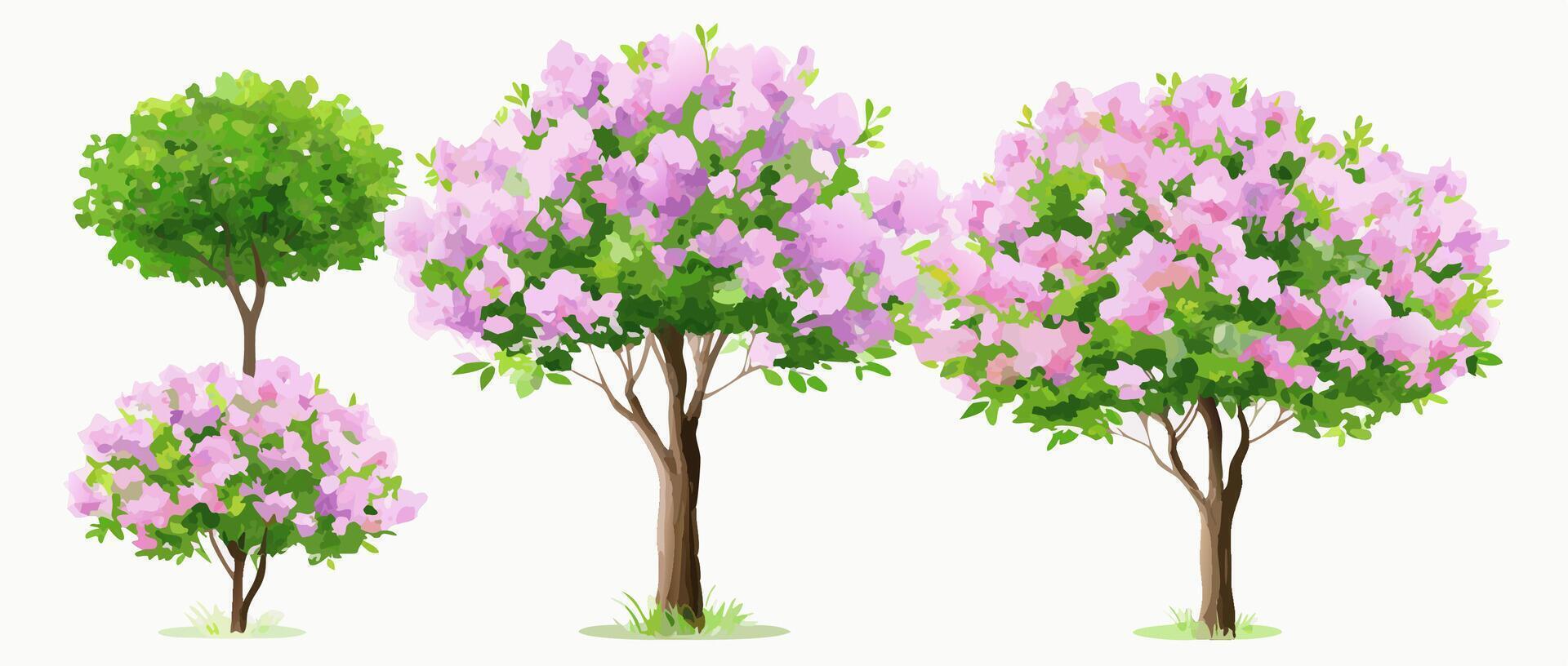 Blooming Lilac Trees Springtime Landscape Illustration vector