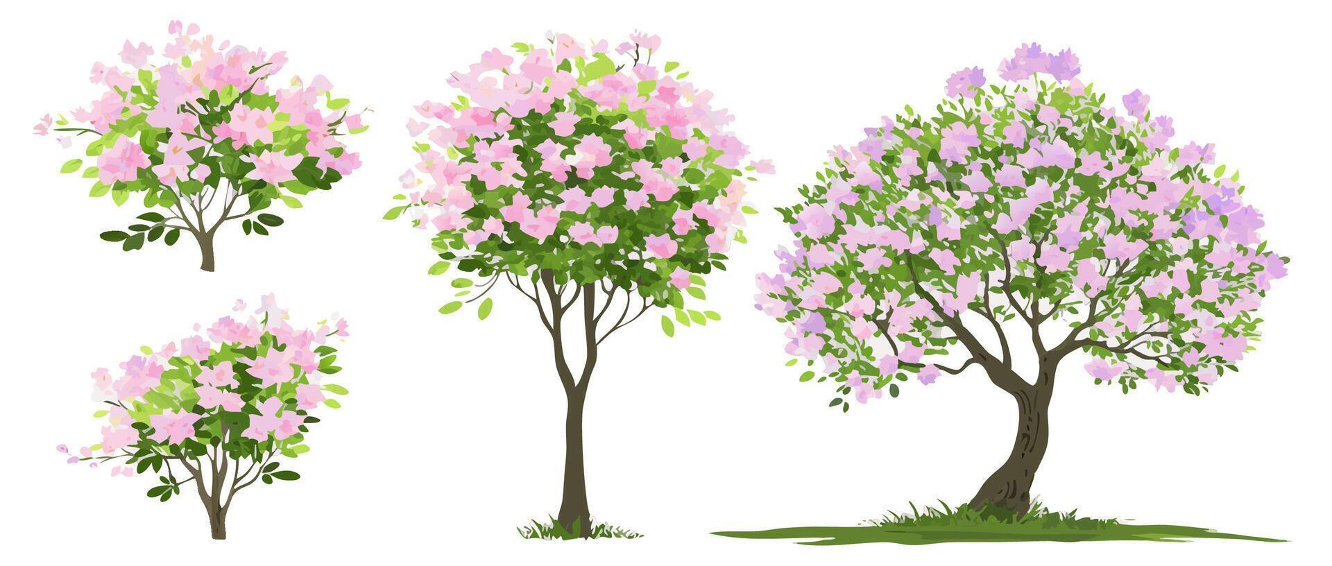 Pink Blossom Trees, Spring Flowers, Nature Illustration vector