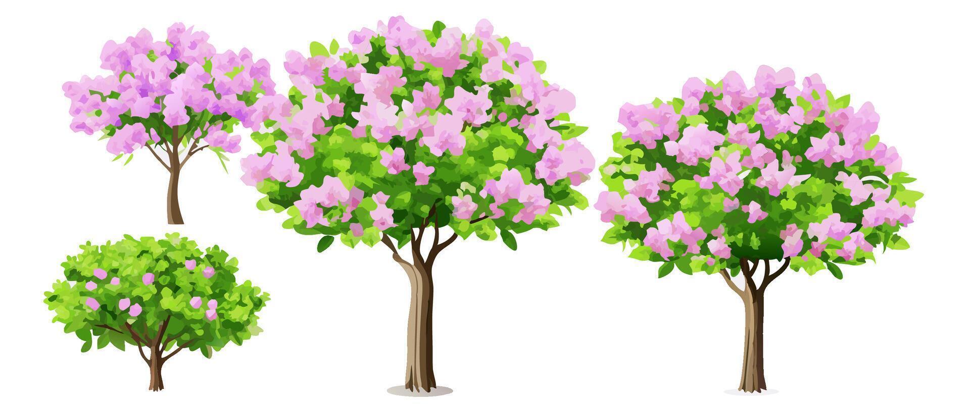 Collection of Pink Flowering Trees, Spring Blossoms vector