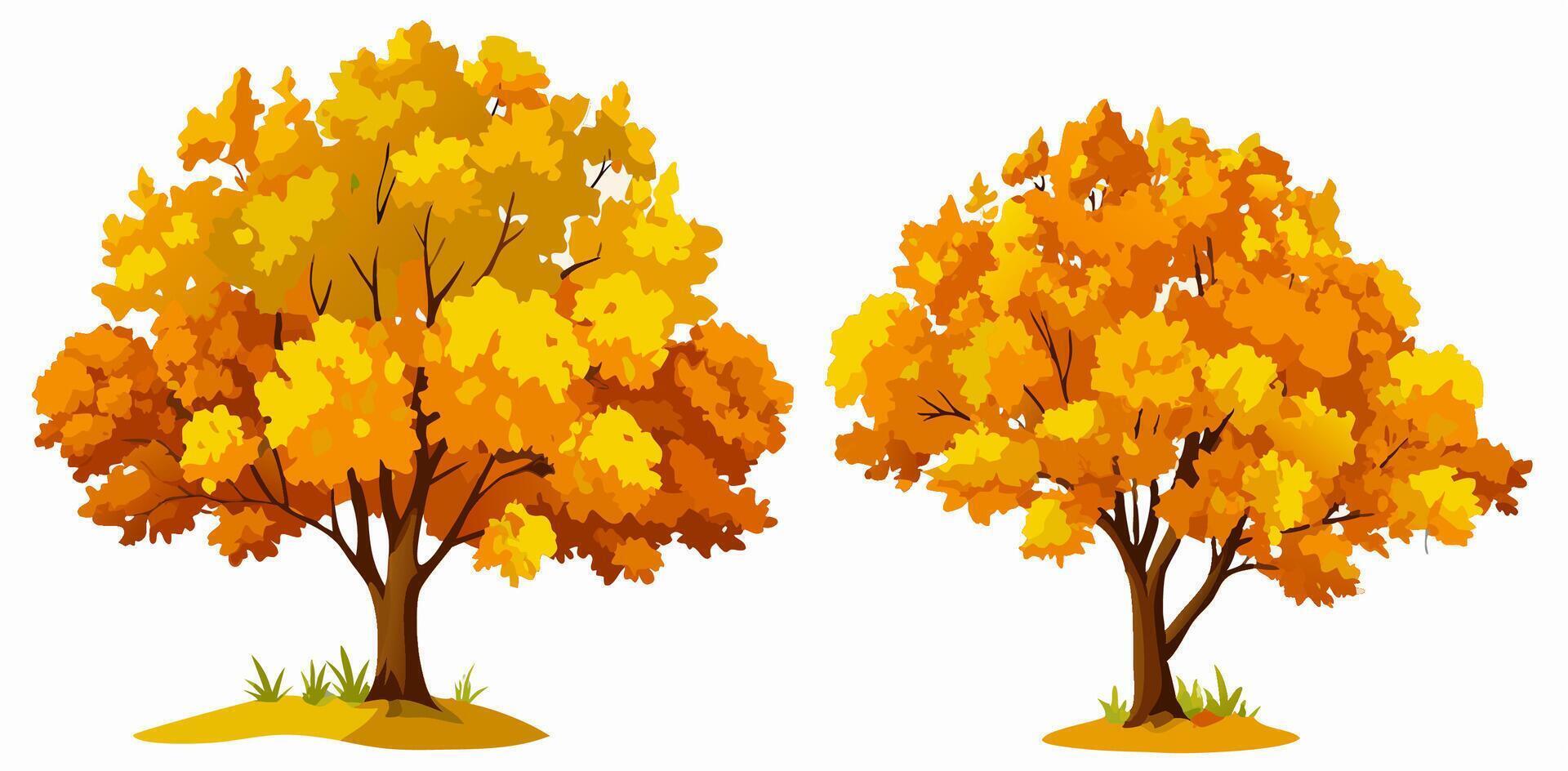 Two Autumn Trees, Yellow and Orange Fall Foliage, Isolated vector