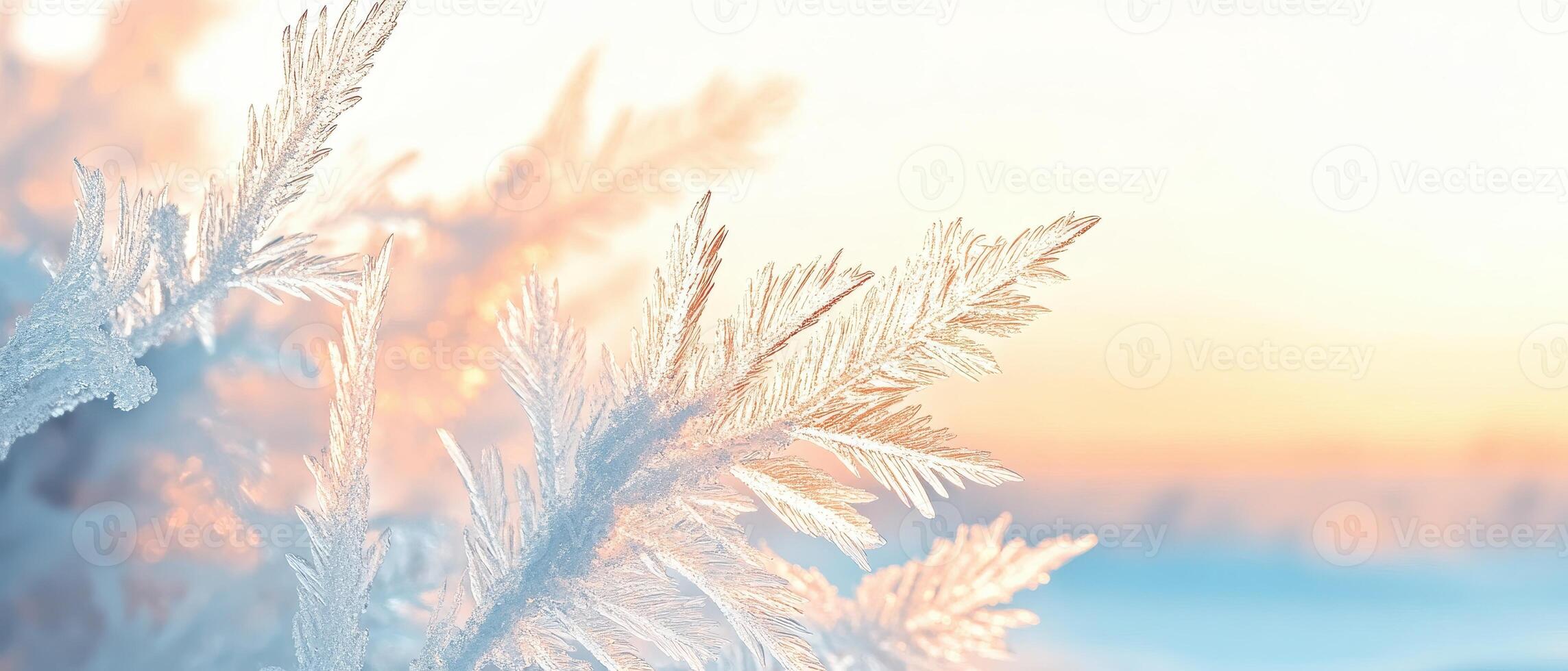 Frosted plant branches gleam in gentle sunrise light. Delicate ice crystals form feathery patterns. Winter season nature scene. Soft pastel colors create peaceful ambiance. photo