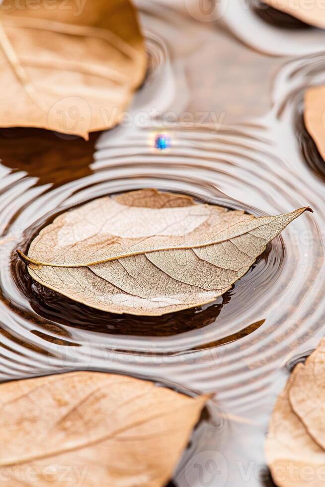 Dry autumn leaves float on calm water. Ripples expand. A single droplet creates a circle. Light reflects on the fluid surface. photo