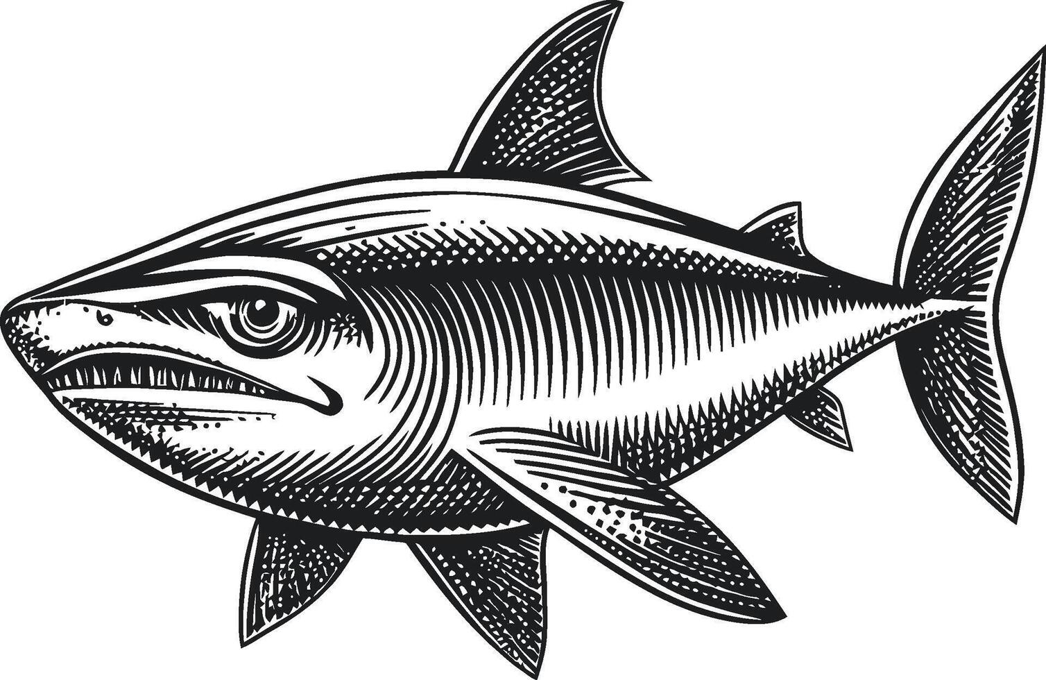 Intricate Illustration of a Shark in Black and White Design vector