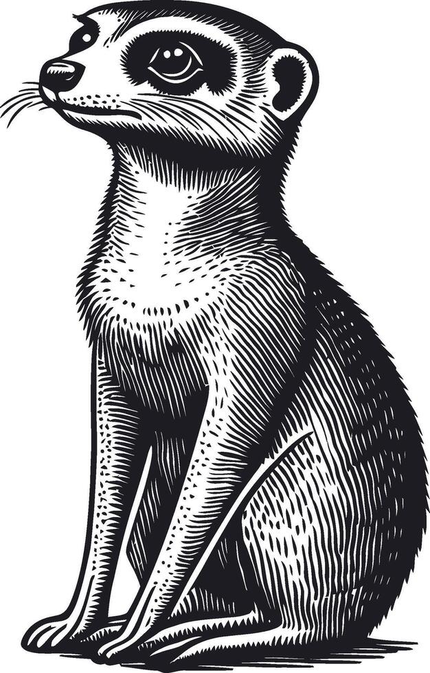 Detailed Black and White Illustration of a Meerkat Sitting vector