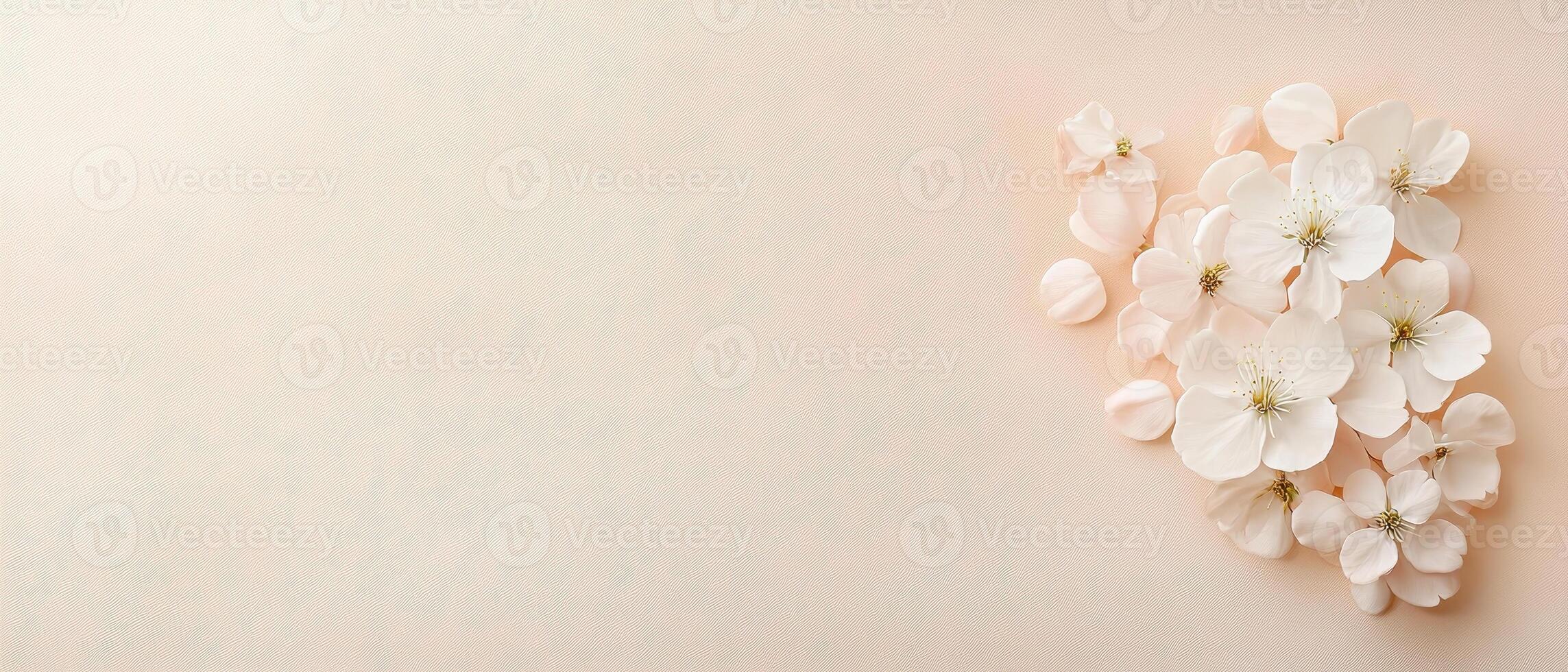 White blossoms scattered over light pink textured surface. Floral arrangement on a peach color background. Delicate flower petals. Gentle springtime backdrop. photo