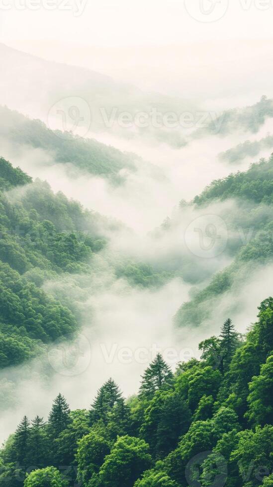 Mist gracefully envelops lush green hills during dawn, creating a serene atmosphere in a tropical jungle landscape. Nature's beauty invites tranquility photo