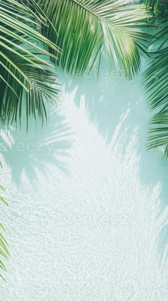 Lush palm leaves create a vibrant frame around clear turquoise water, reflecting the sunlight beautifully in a tranquil tropical setting photo