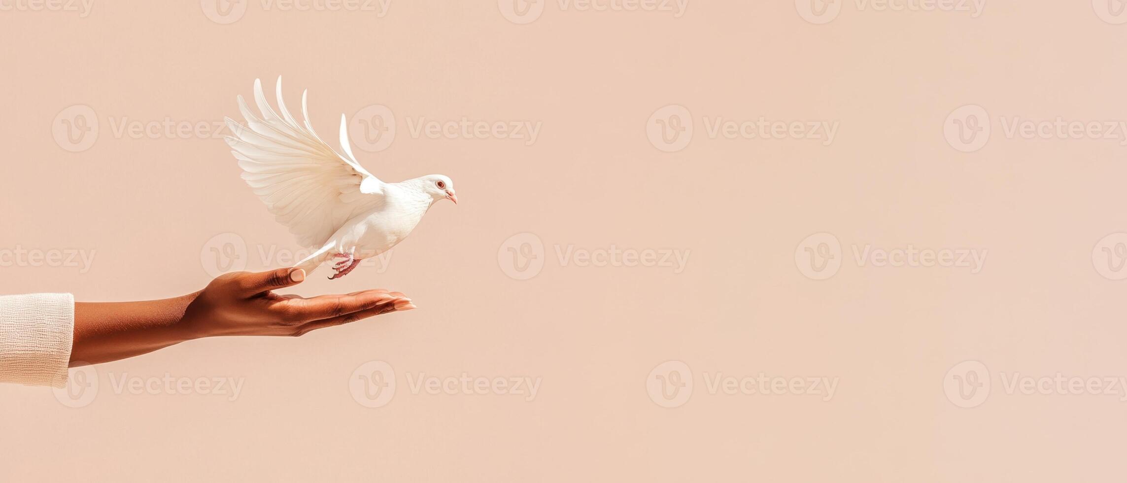 White dove taking flight from a open palm. Hand releases bird against a peach colored background. Symbol of peace and freedom. photo