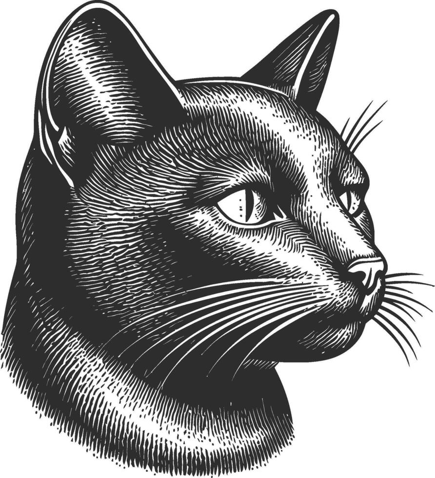 Detailed Vintage Illustration of a Cat's Head in Black and White Style vector