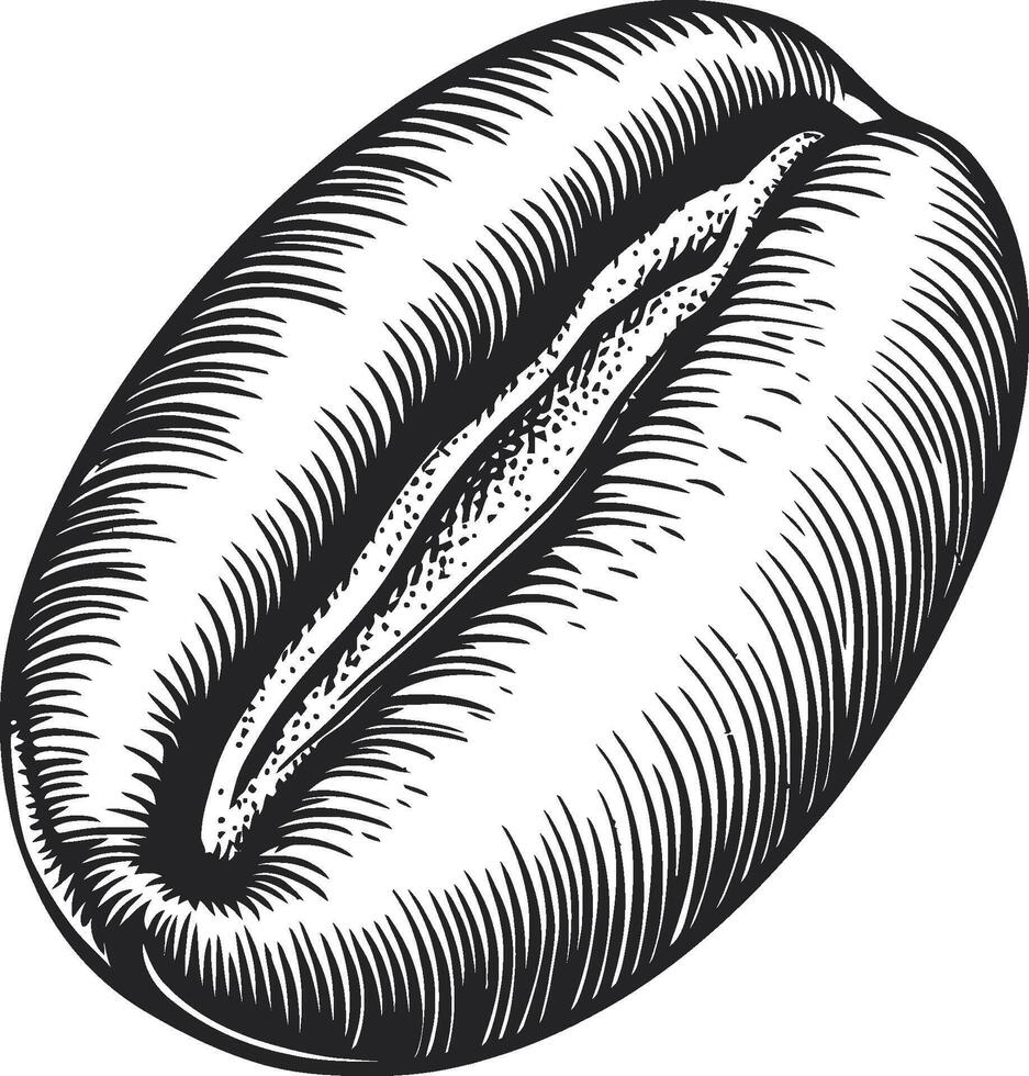 Detailed Illustration of Coffee Bean in Black and White Style vector