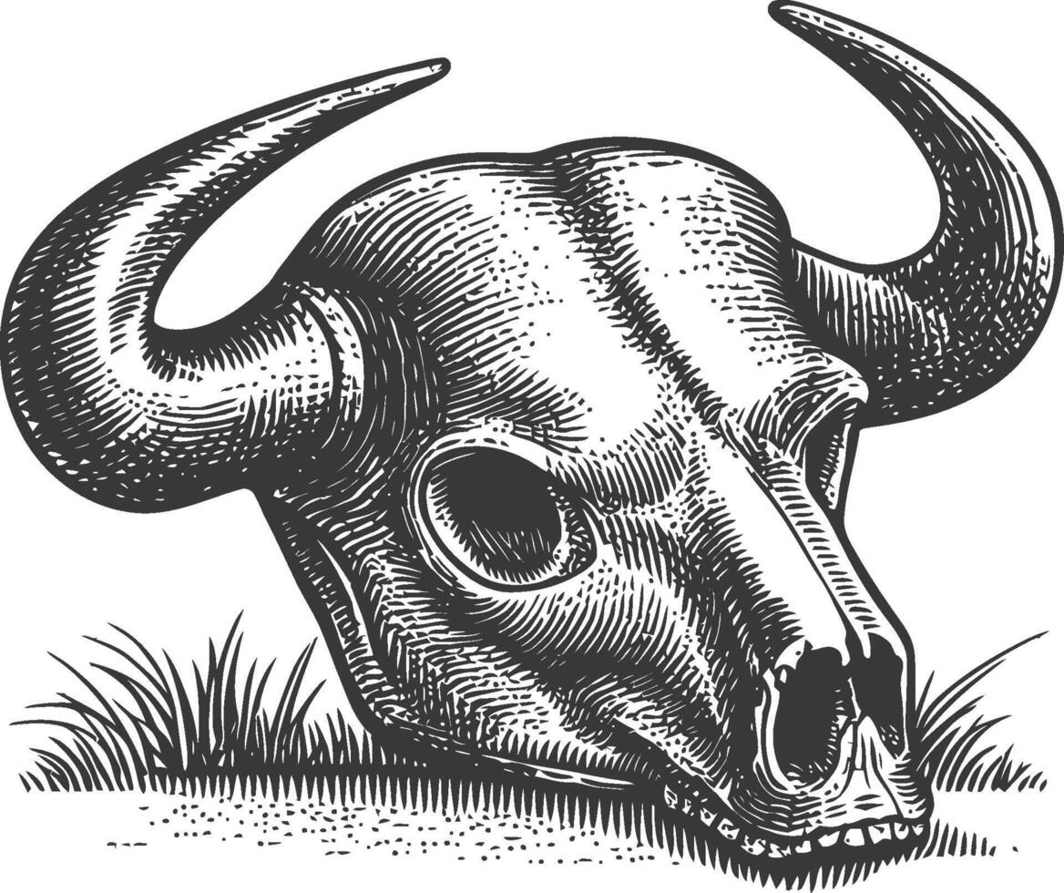 Detailed Sketch of a Bull Skull with Horns on Grass Background vector