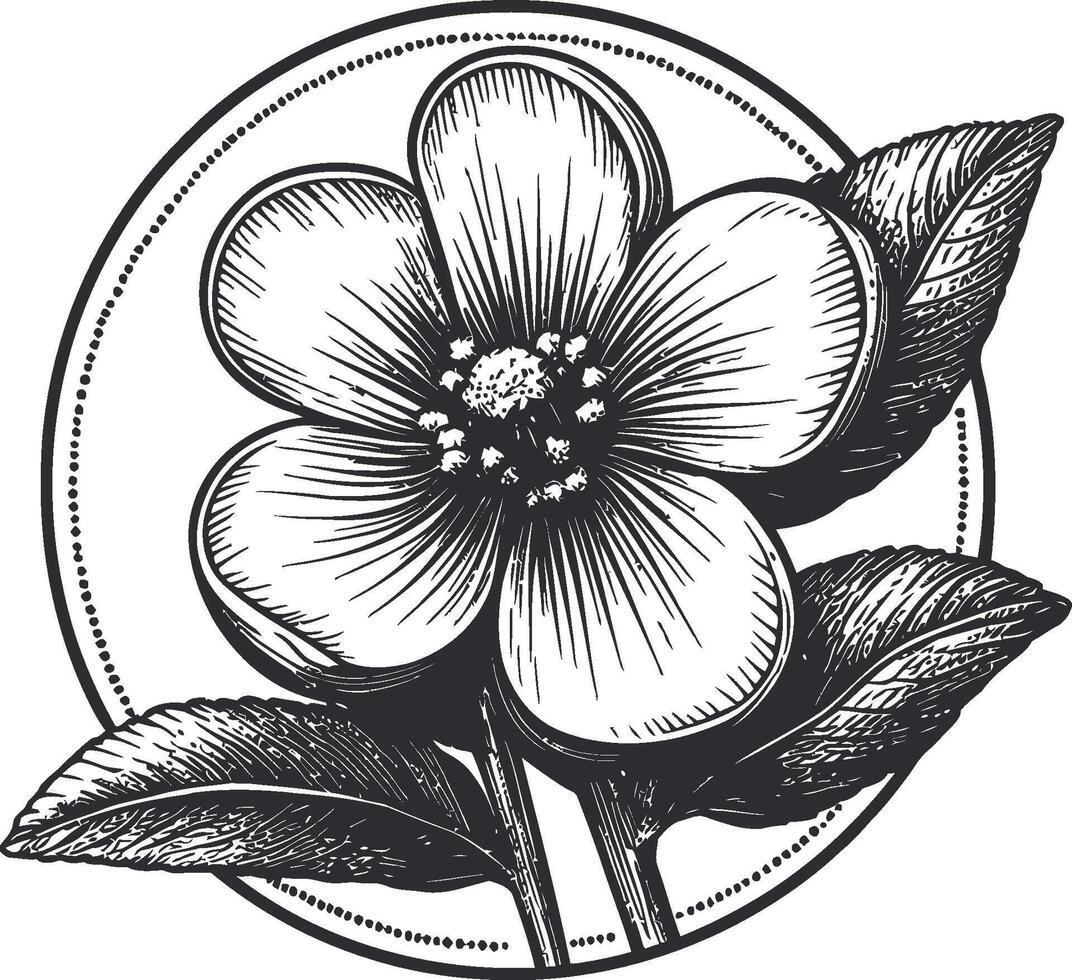 Intricate Hand-Drawn Floral Illustration with Leaves and Circular Design vector