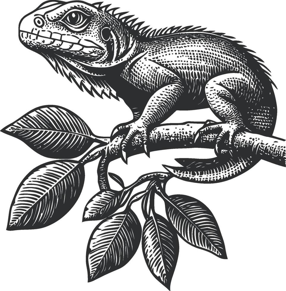 Detailed Illustration of a Lizard on a Branch with Leaves vector