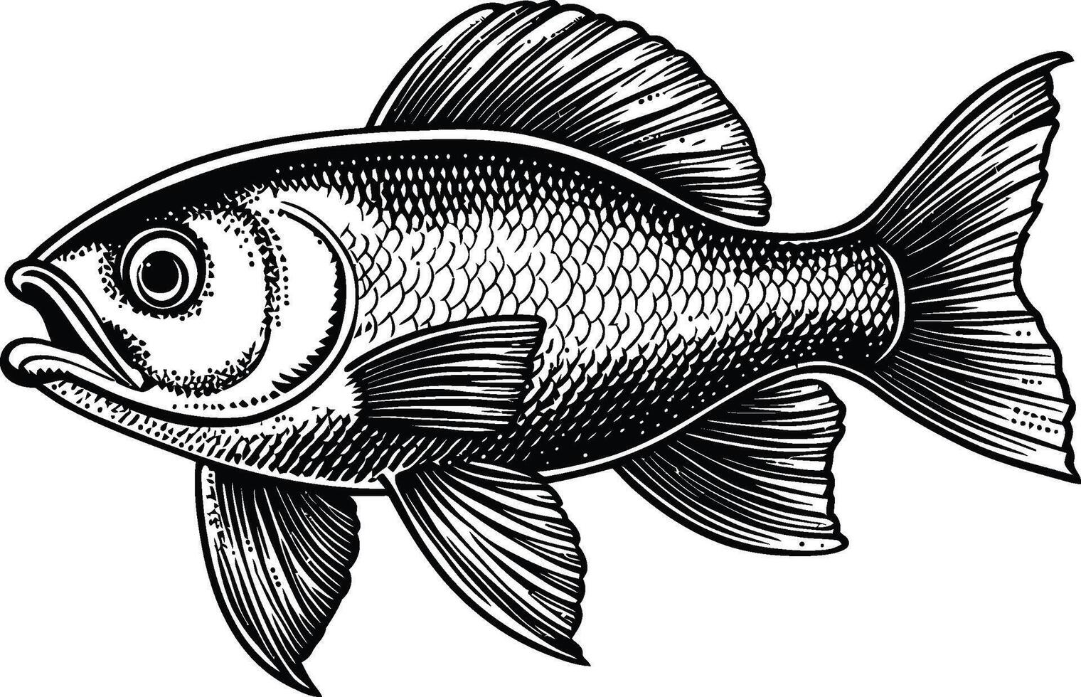 Vintage Style Illustration of a Detailed Fish in a Art Medium vector