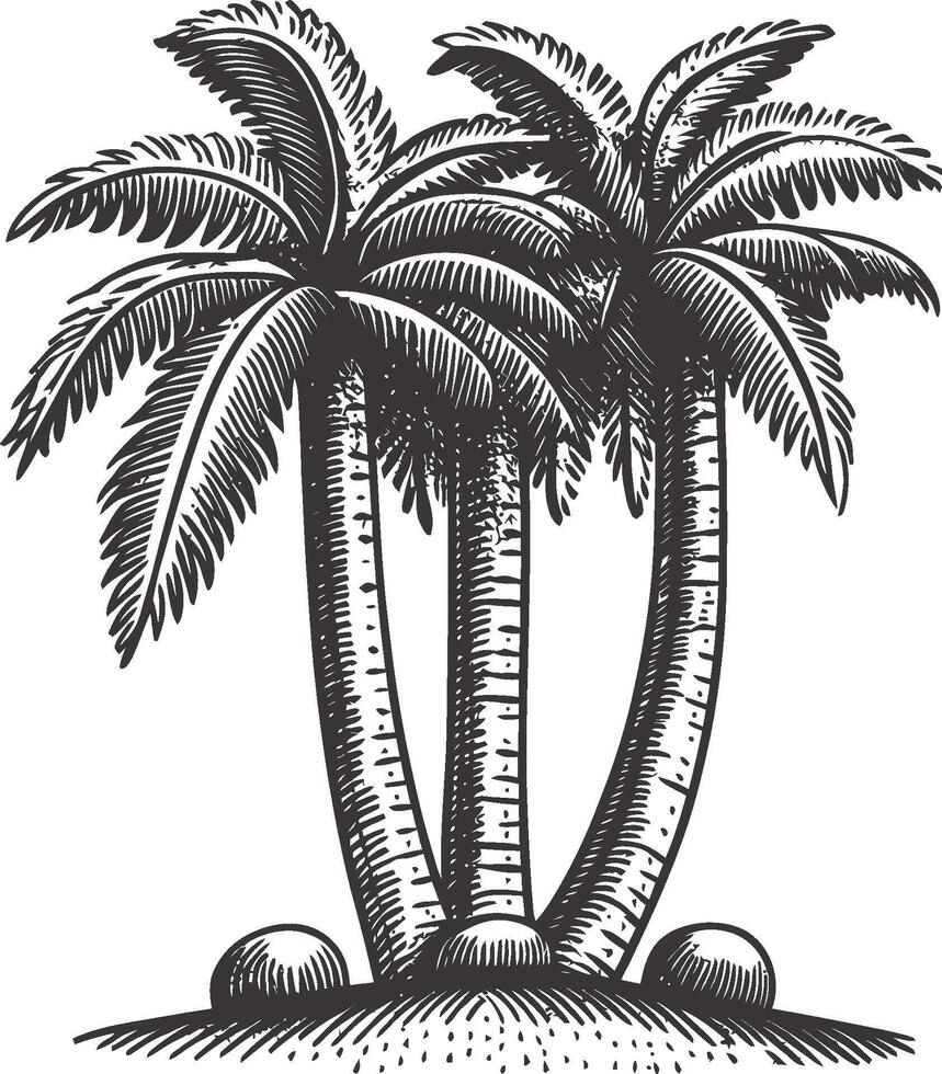 Detailed Black and White Illustration of Palm Trees with Texture vector