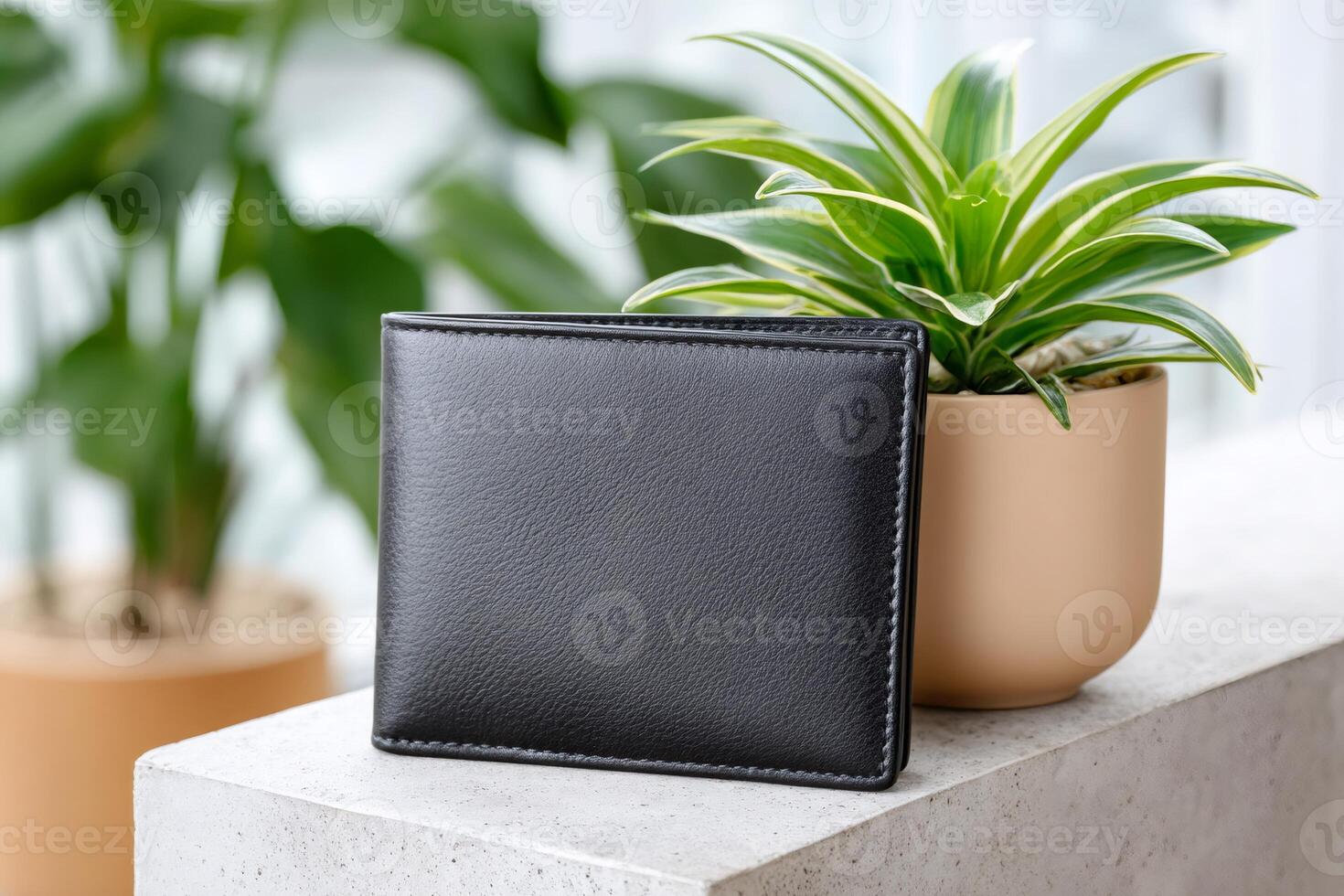 Black leather wallet standing next to a plant in a pot on a concrete surface photo