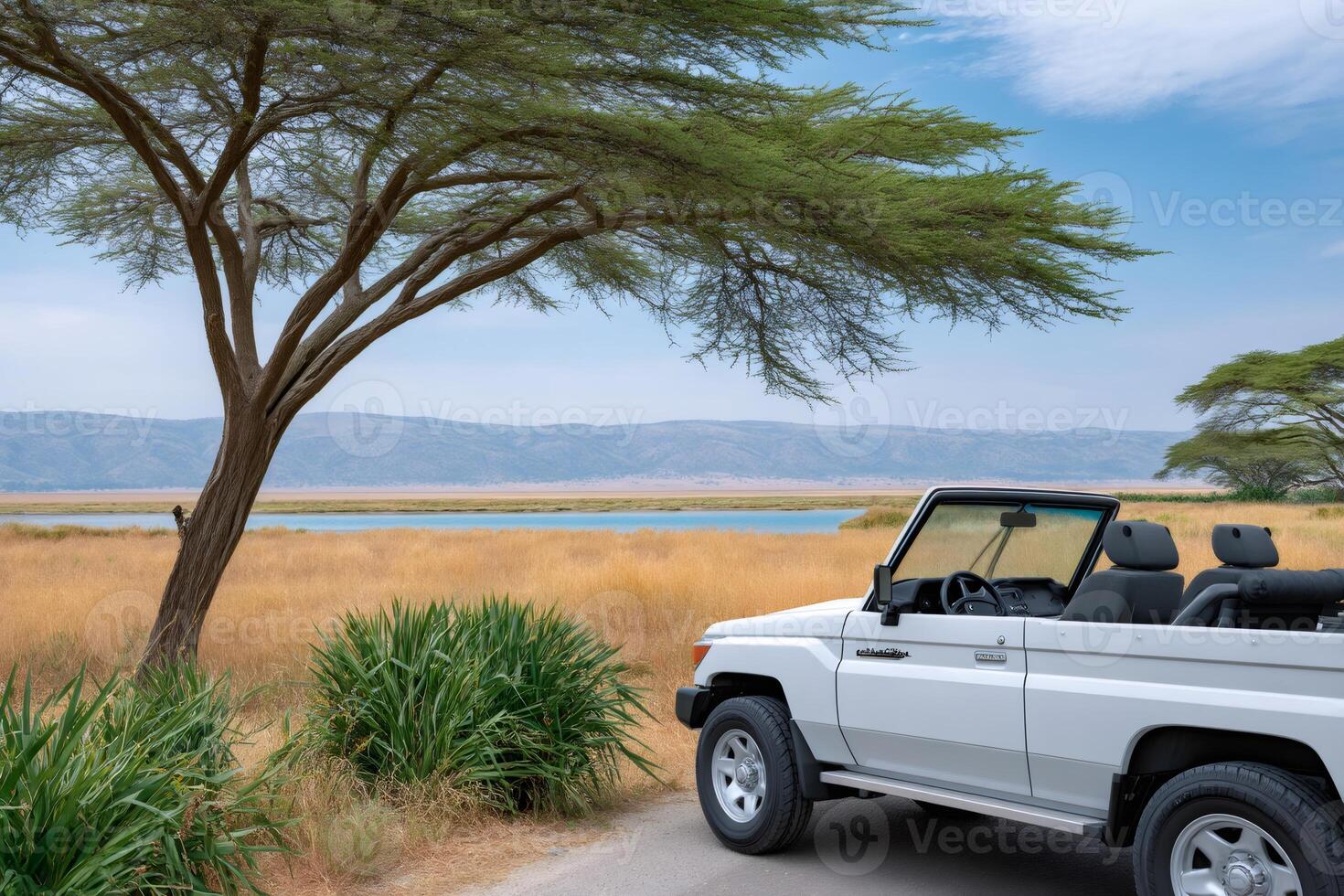 White toyota land cruiser parked near lake manyara national park in tanzania photo