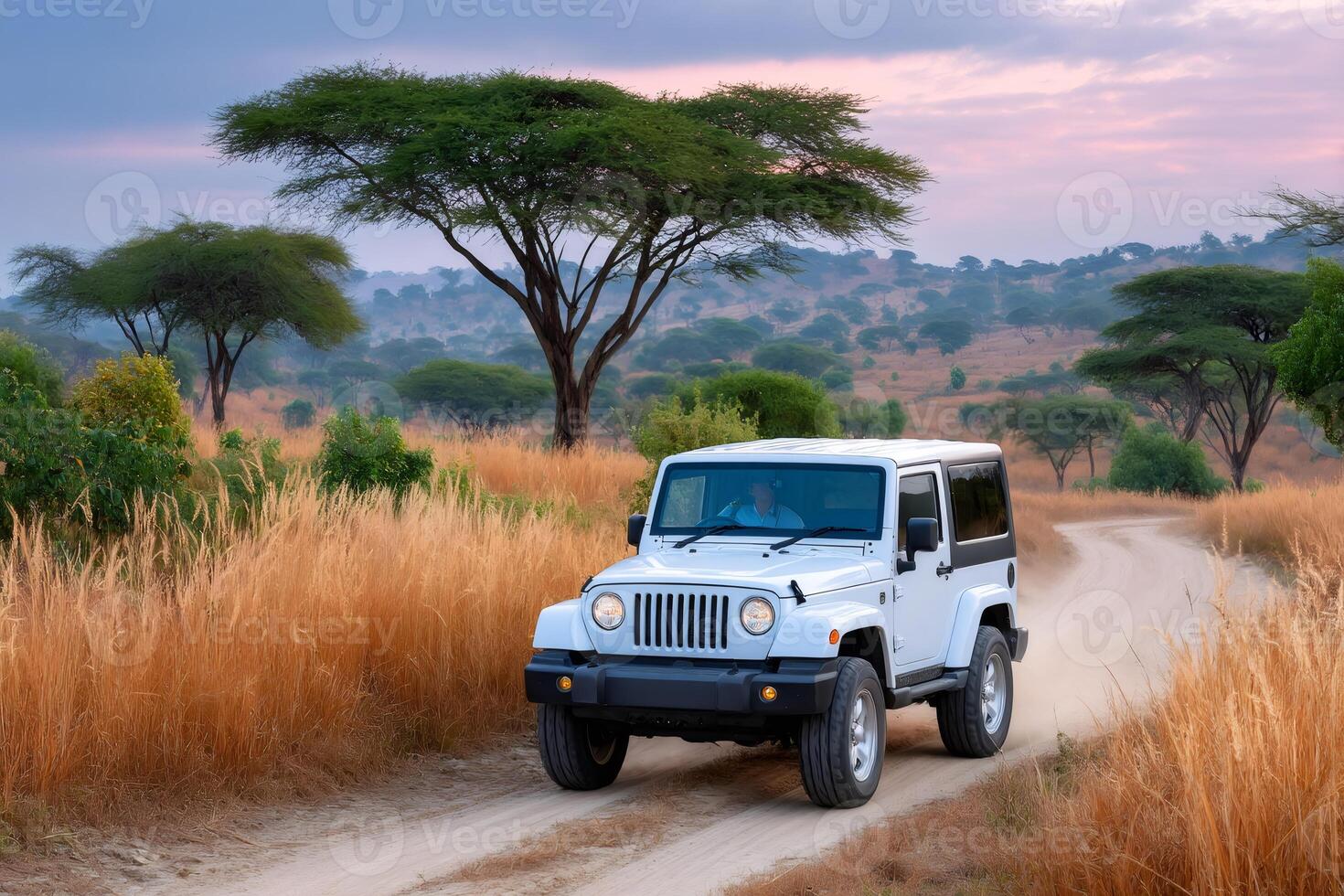 Guide driving jeep wrangler on dirt road at sunset in african savanna photo
